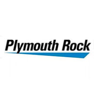 Plymouth Rock2